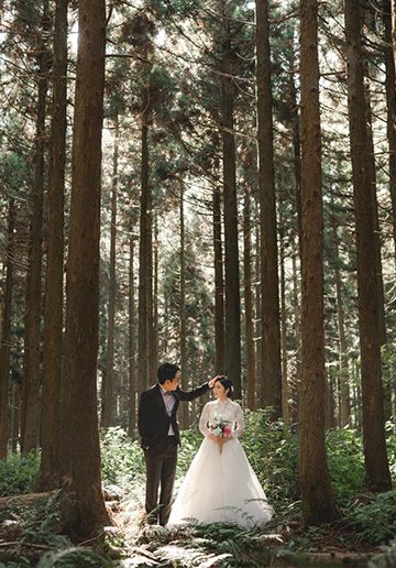 Korea Autumn Silvergrass Prewedding Photoshoot 