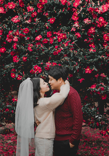Korea Autumn Camellia Prewedding Photoshoot